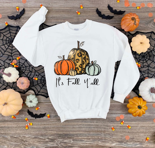 Fall Sweatshirt or long sleeve